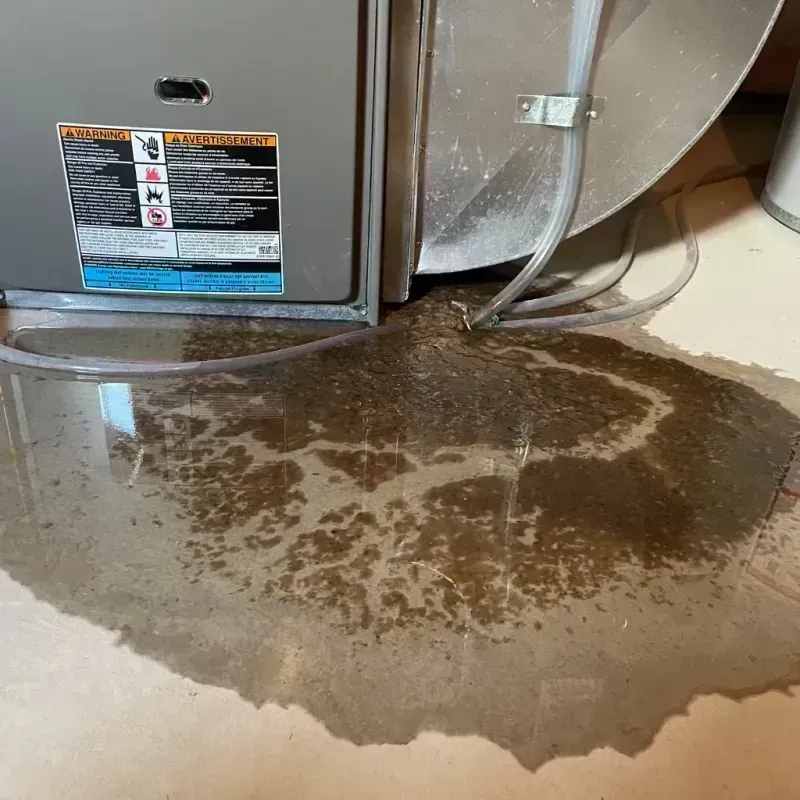 Appliance Leak Cleanup in Converse, TX